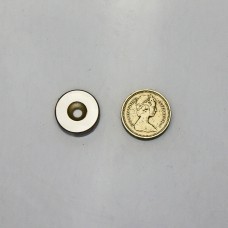 20mm Dia x 5mm Thick (Discs)